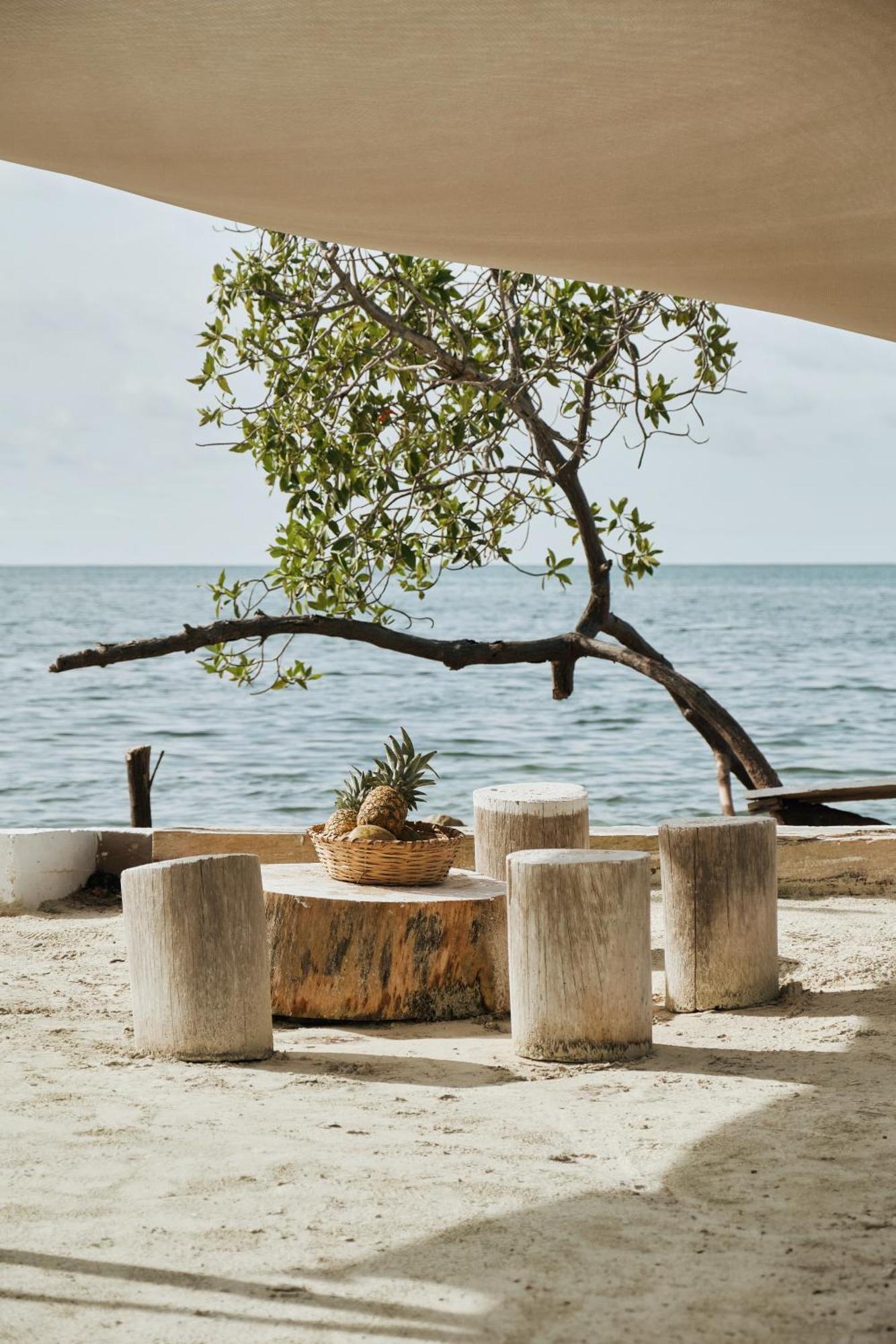 El Embrujo Tintipan Hotel Tintipan Island Eksteriør billede